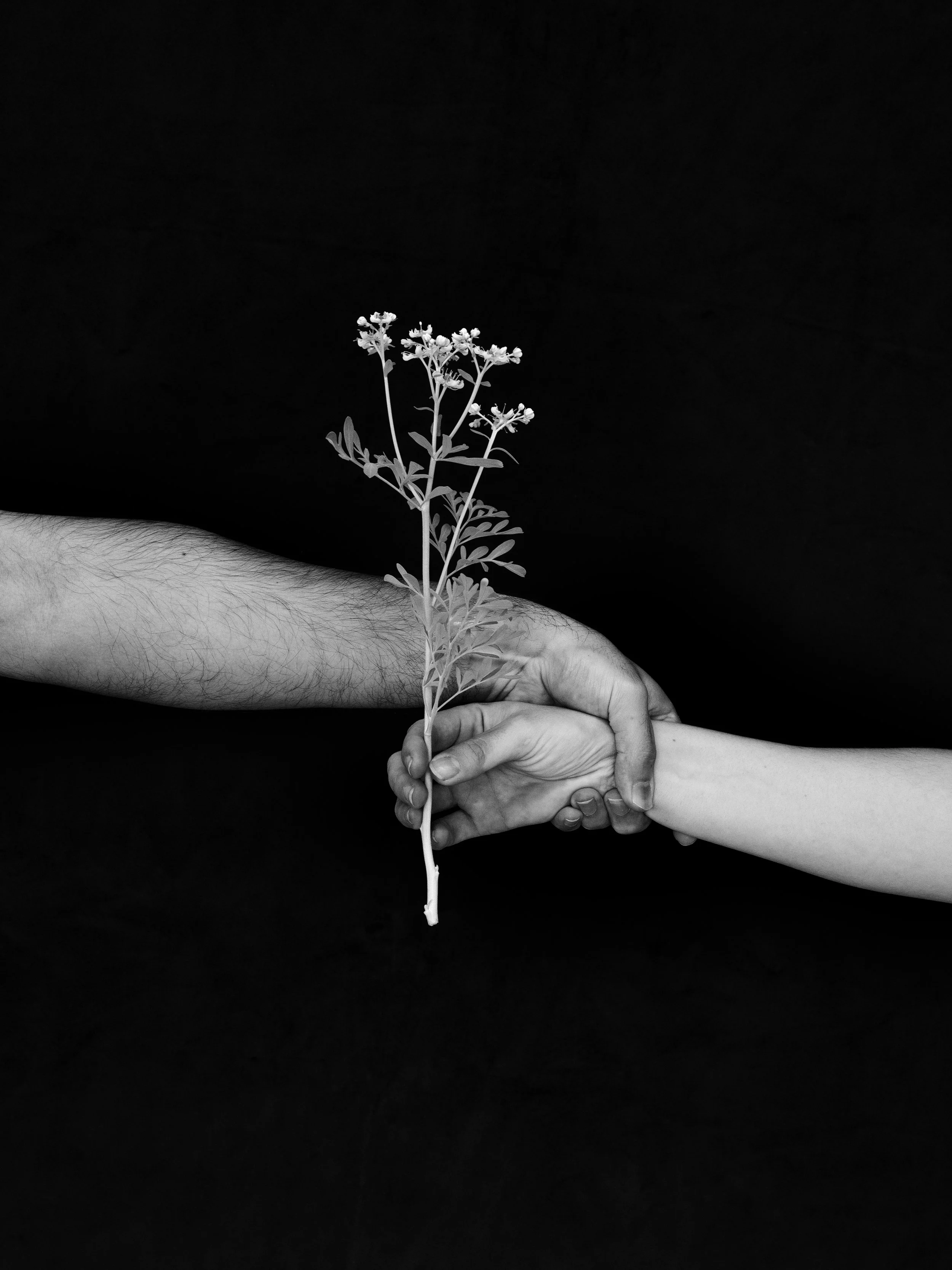 maz and tara copy.jpg