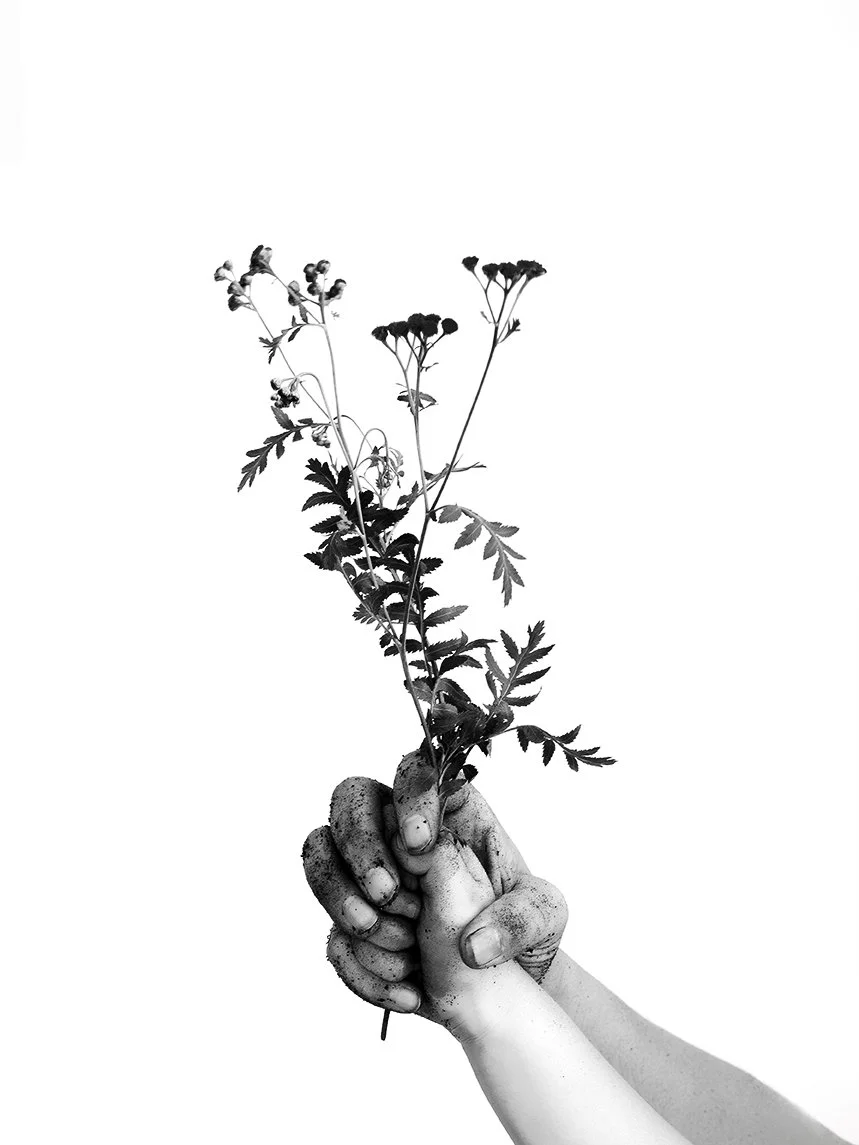 Kelly and Gwen copy.jpg