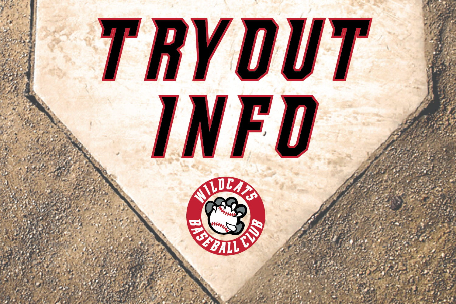 Wildcats Baseball Club
