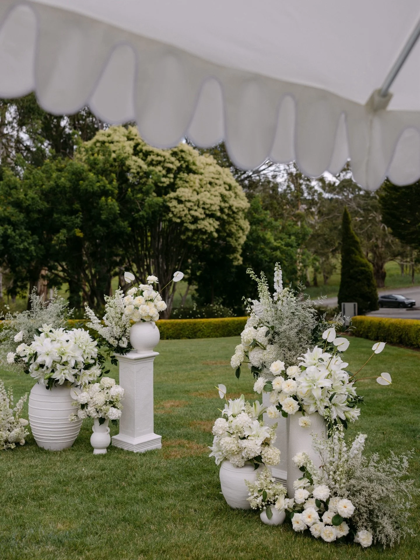 Imagine walking down your aisle to this view, dreamy right !!