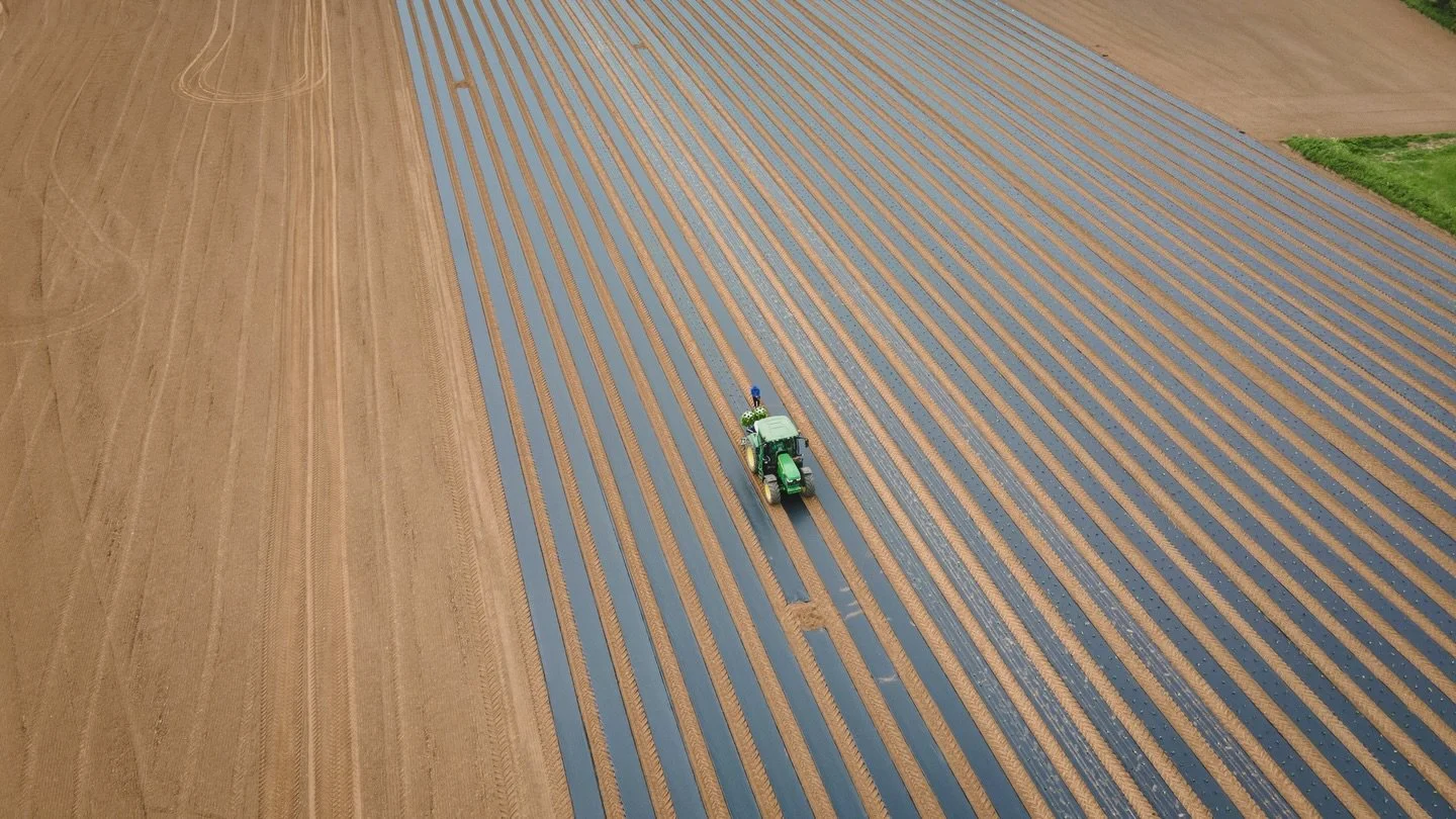 Zucchini! 🤩🚜

It will soon be courgette planting season once we get this wet and cold weather out the way! Really love these drone shots Firth Produce planting their courgettes last season. There&rsquo;s not a lot happening in the fields around her