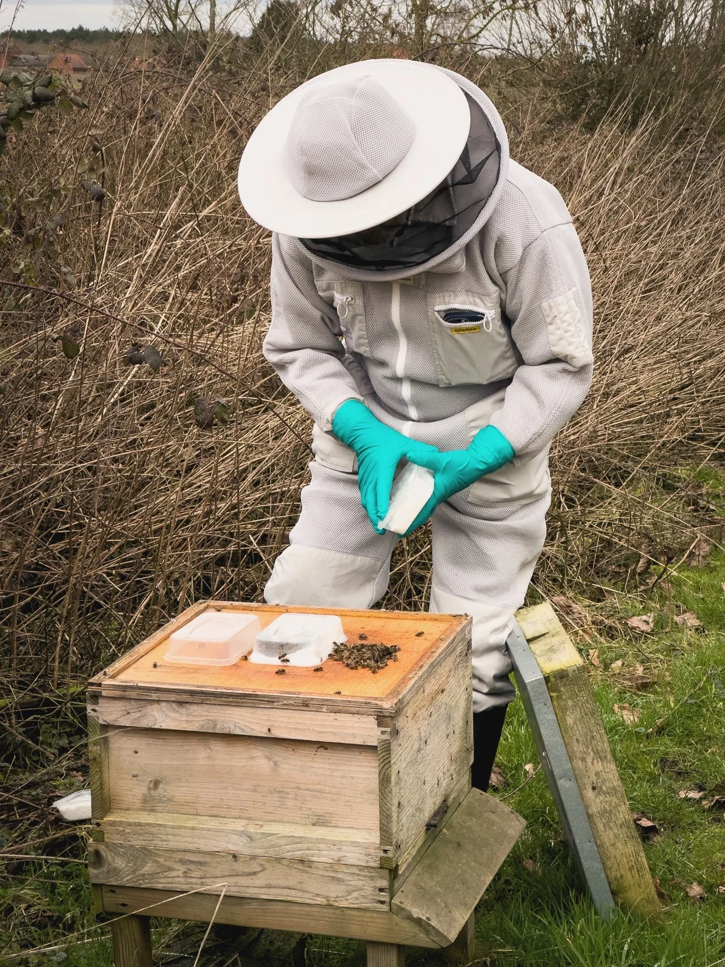 Bee feed check! 🐝🍯

It&rsquo;s an important time of year to feed colonies of bees; as the temperatures fluctuate the bees head out when it&rsquo;s warm and with limited forage with only the likes of snowdrops and hellebores flowering, they can burn