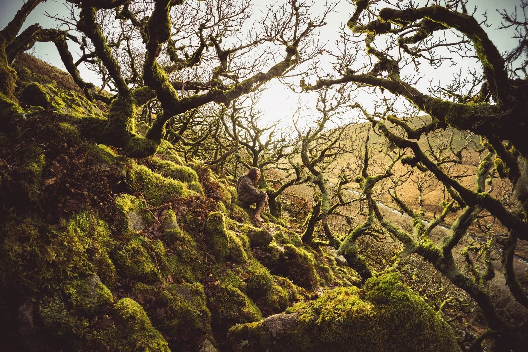 Black-a-Tor Copse on Dartmoor - Glavind Strachan Photography - Dartmoor Guide