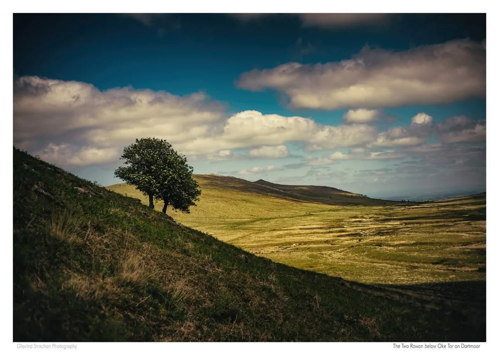 A3 two rowan-mini_compressed.jpg