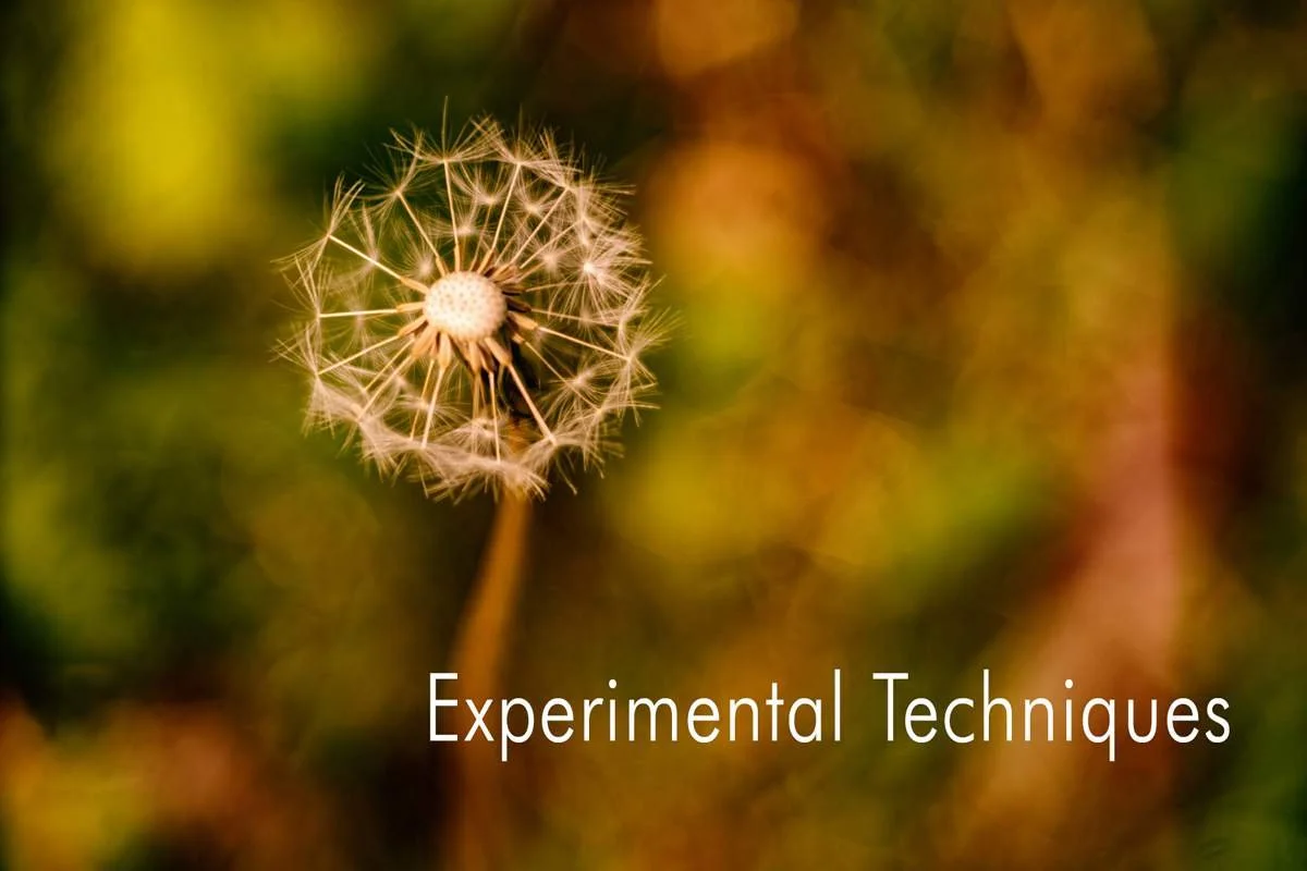 Experimental Film Techniques to improve your photographic creativity