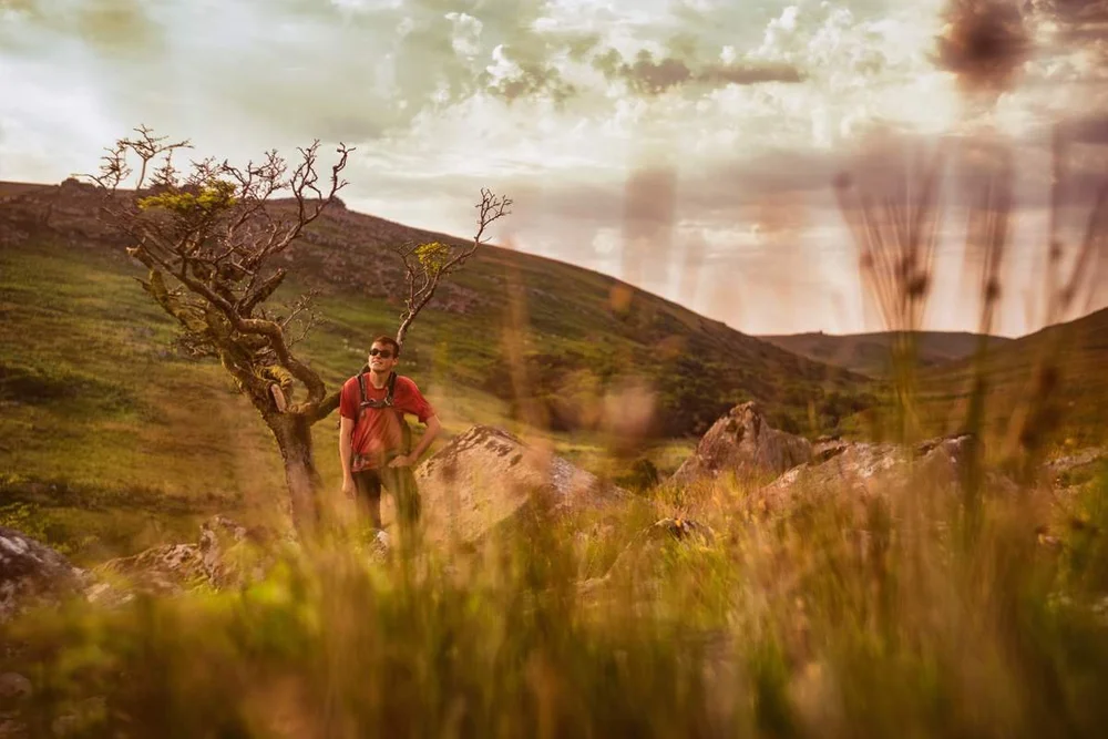 A Favourite Hawthorn