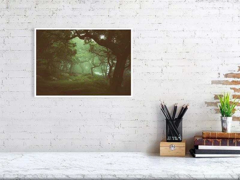 Black-a-tor Copse on Dartmoor - Art Print by Glavind Strachan Photography