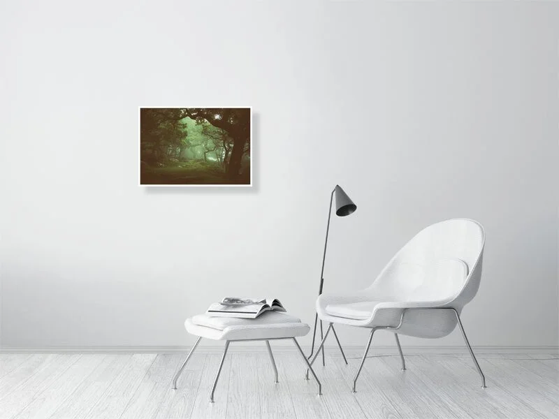 Black-a-tor Copse on Dartmoor - Art Print by Glavind Strachan Photography