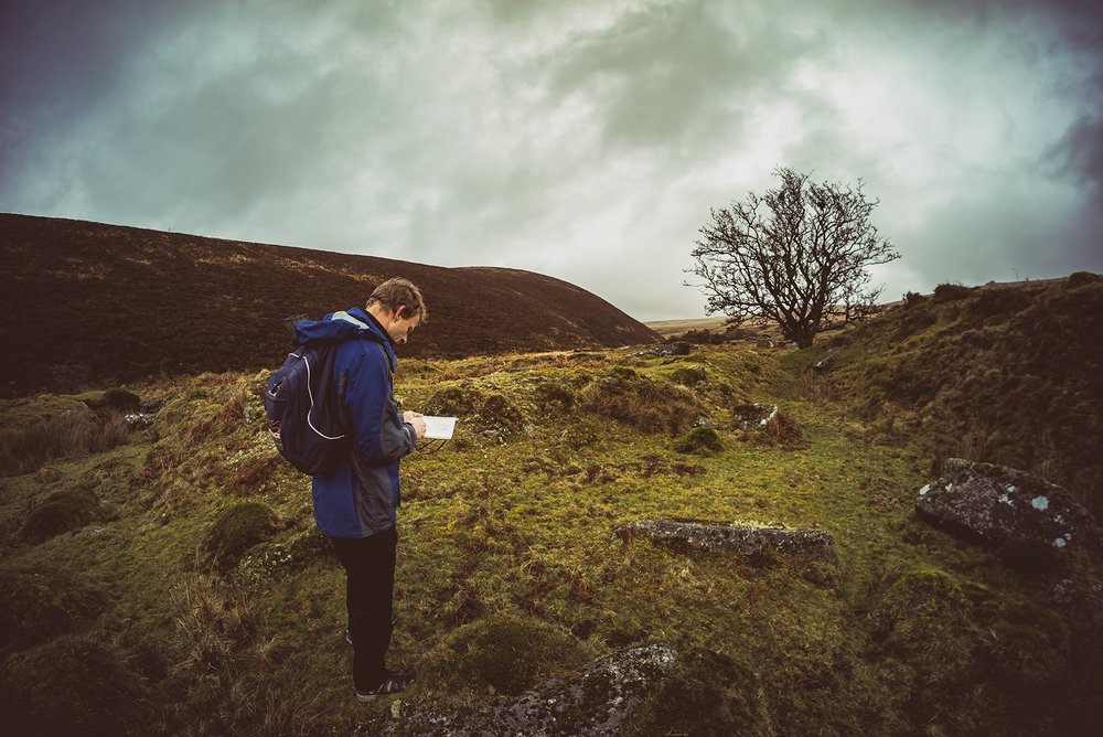 A Favourite Hawthorn