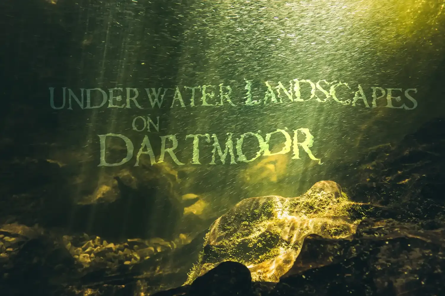 Underwater Landscapes on Dartmoor
