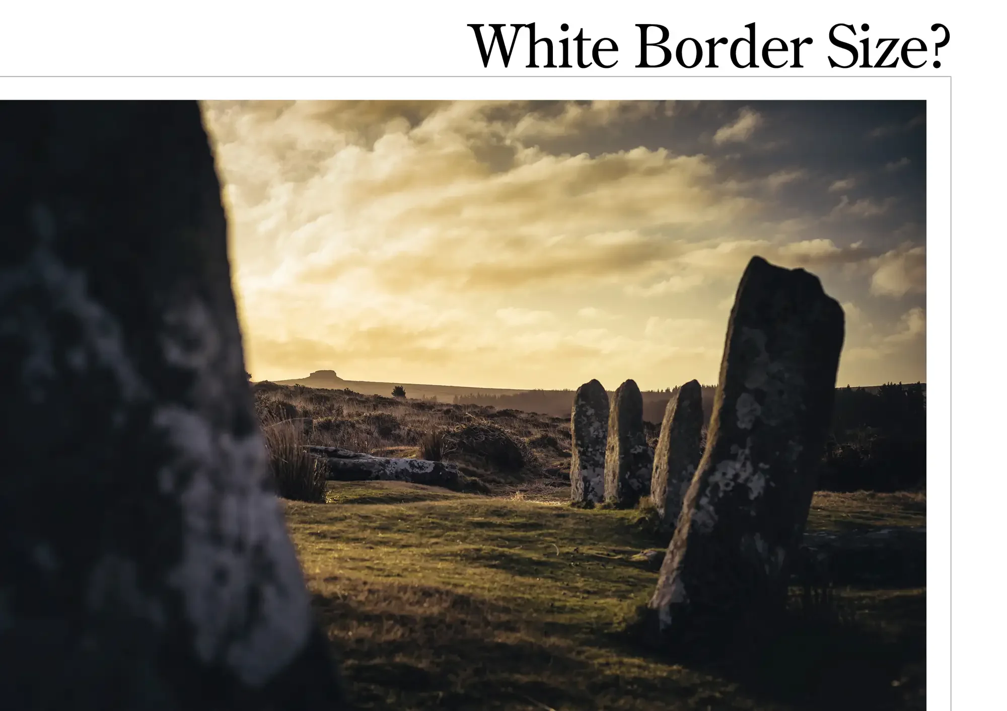 scorhill-white-border-choice.webp
