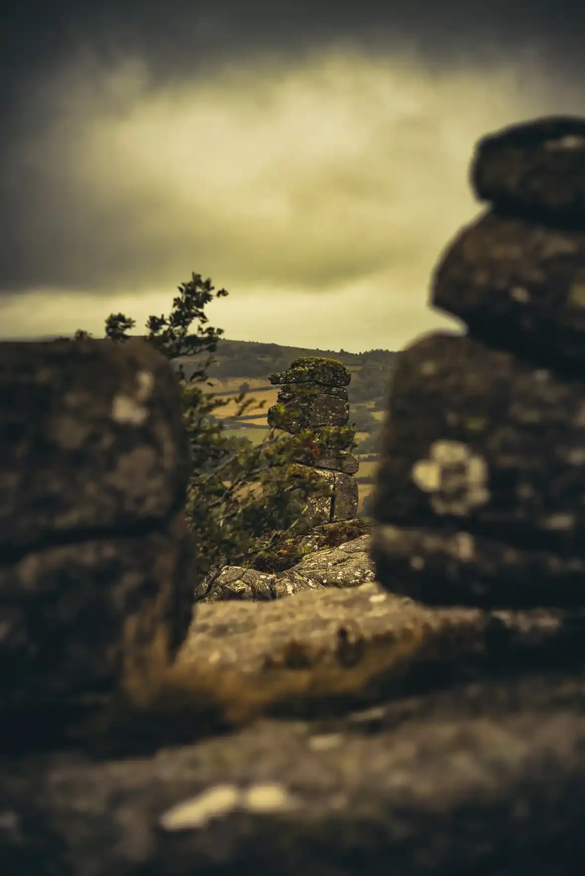 Bowerman's Nose - Hiding in the granite outcrops on Dartmoor