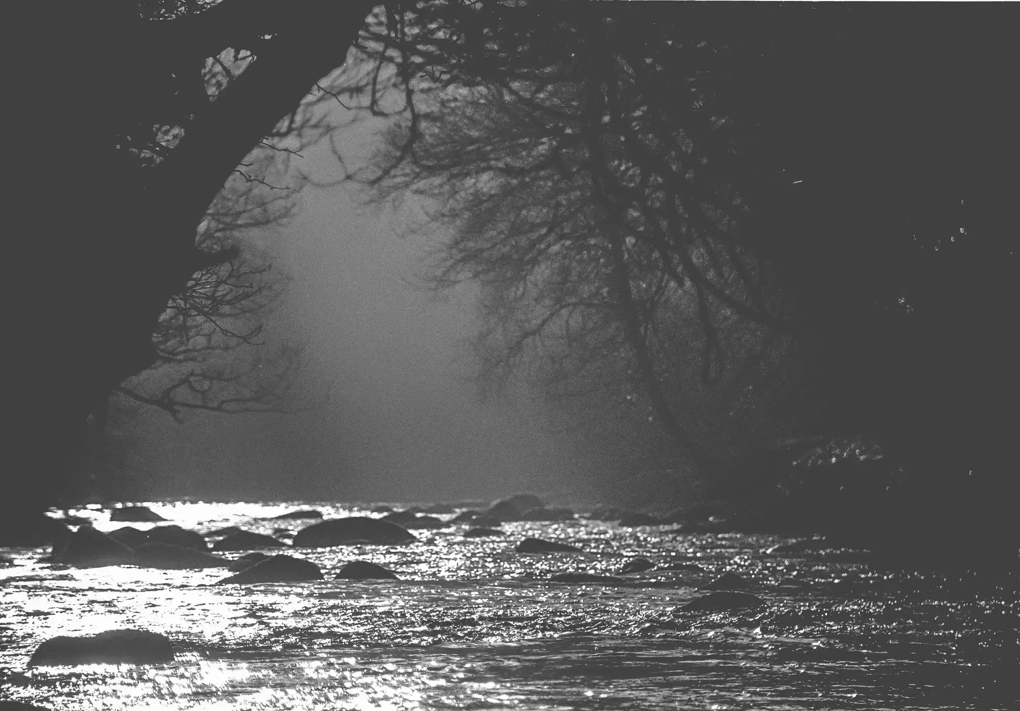 Early morning haze on the River Dart shot on Fomapan and developed and scanned at home