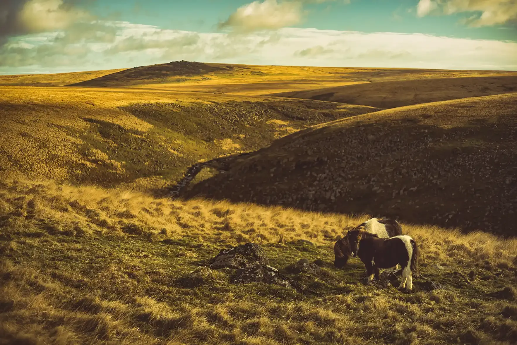 tavy-cleave-3.webp