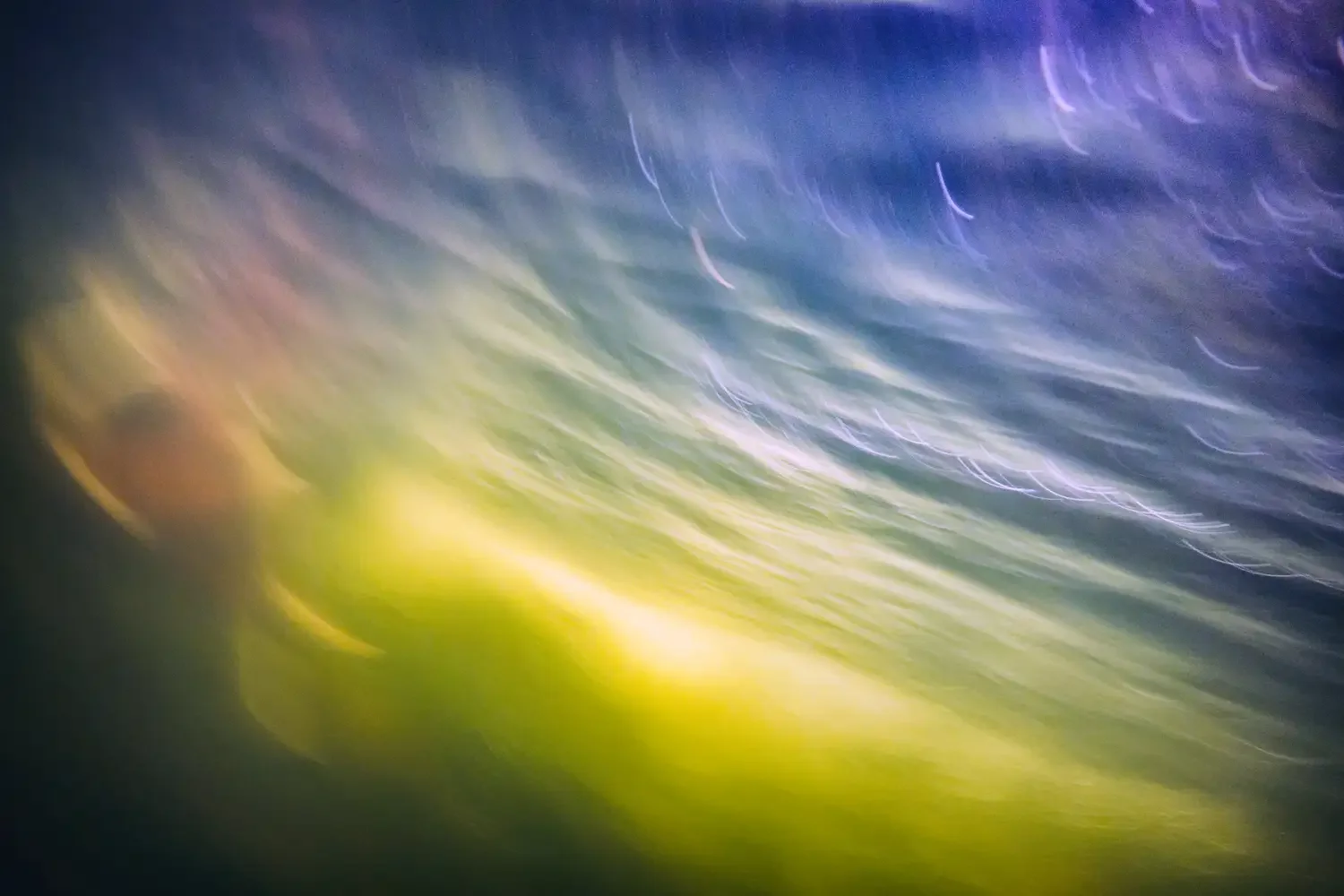 Getting a little abstract with my underwater photography