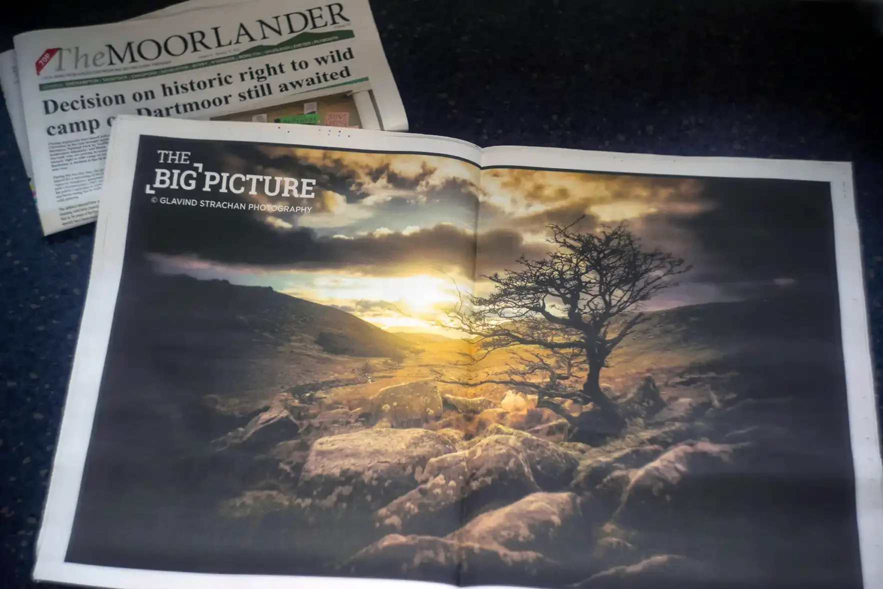 Lone Hawthorn at sunrise on the edge of Shelstone Tor shot using a Pentax 110 24mm lens
