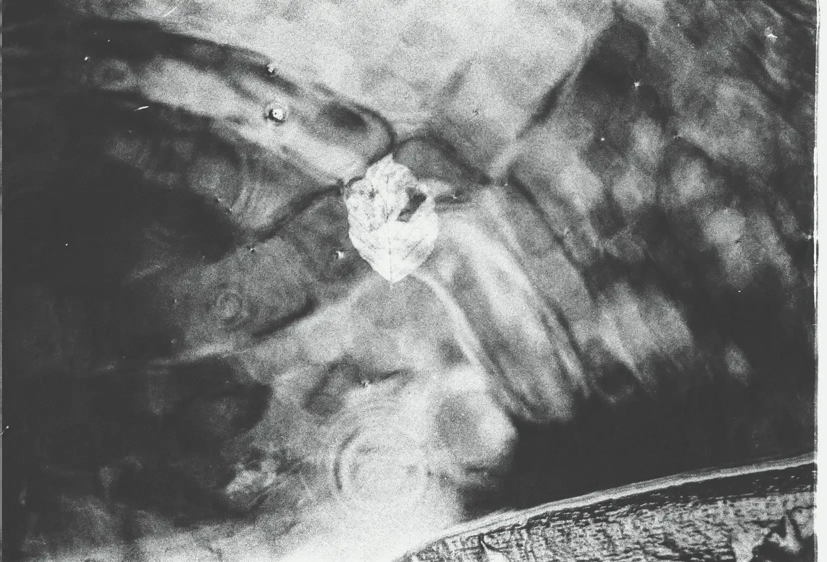 A leaf underwater on the River Dart on Dartmoor. Shot and developed on film