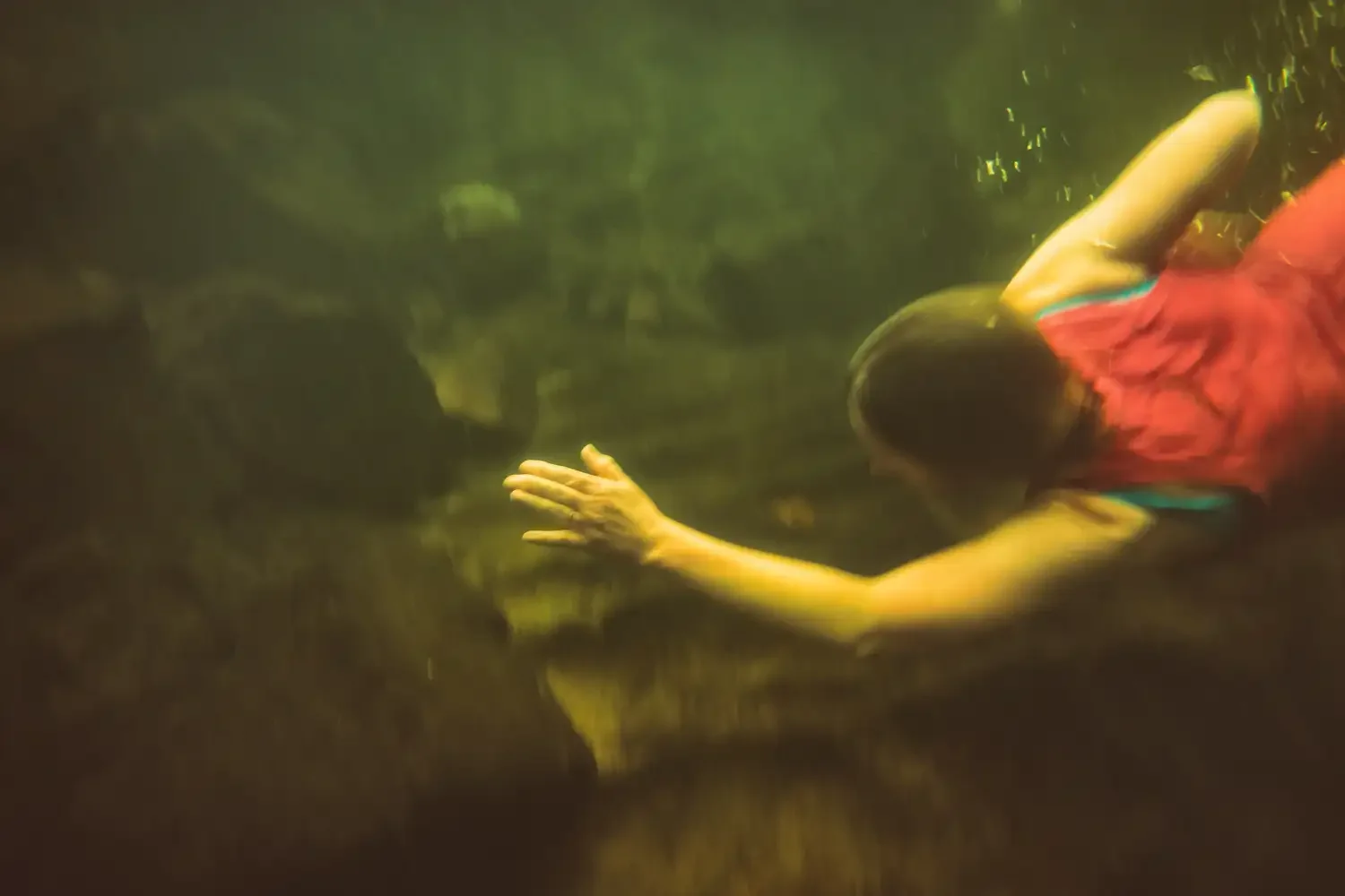 Kate - The owner of Dogberry &amp; Finch Bookshop in Okehampton