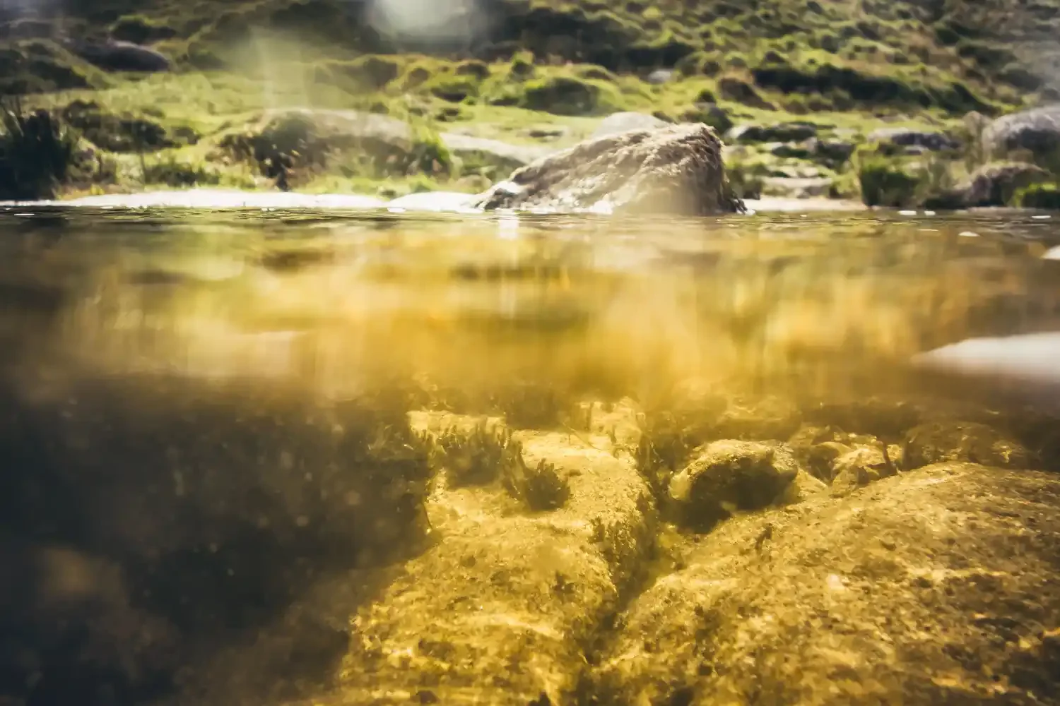 Underwater Landscape on Dartmoor (14).webp