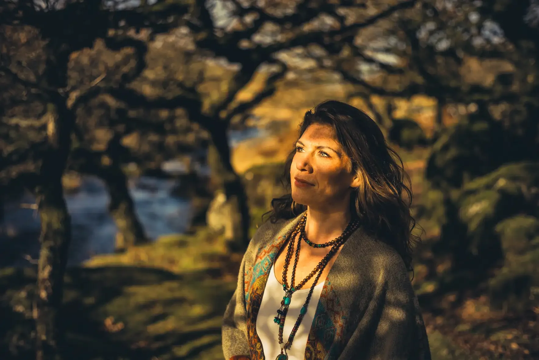 Dappled Sunlight in Black-a-Tor Copse