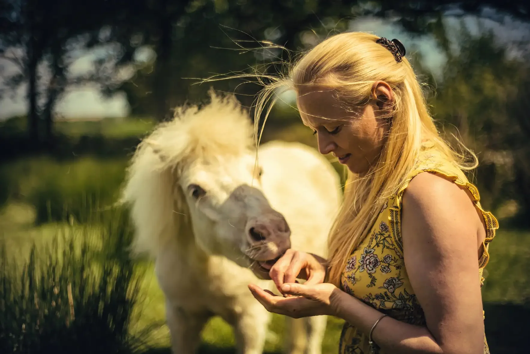 Devon Family Portraits - Wellbeing Business Shoot by Glavind Strachan Photography