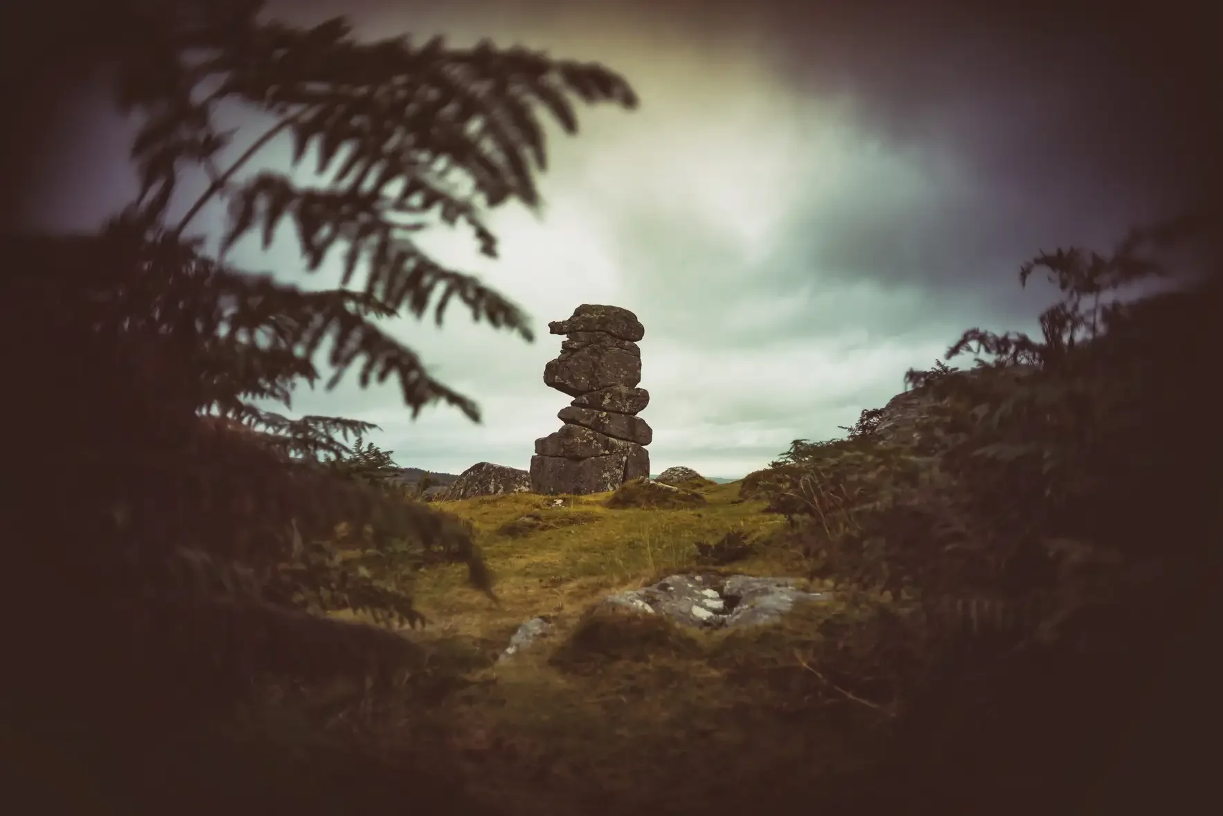 Bowerman's Nose on Dartmoor - shot with an old Pentax 110 lens adapted to my Sony a7r