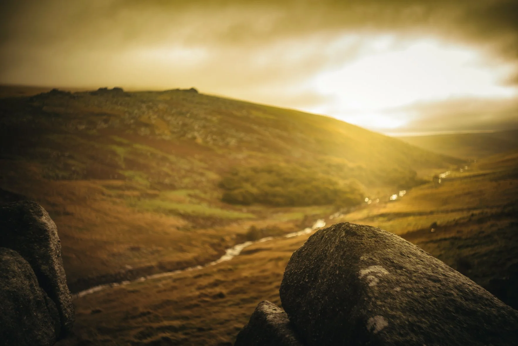 The View From Shelstone Tor - Glavind Starchan