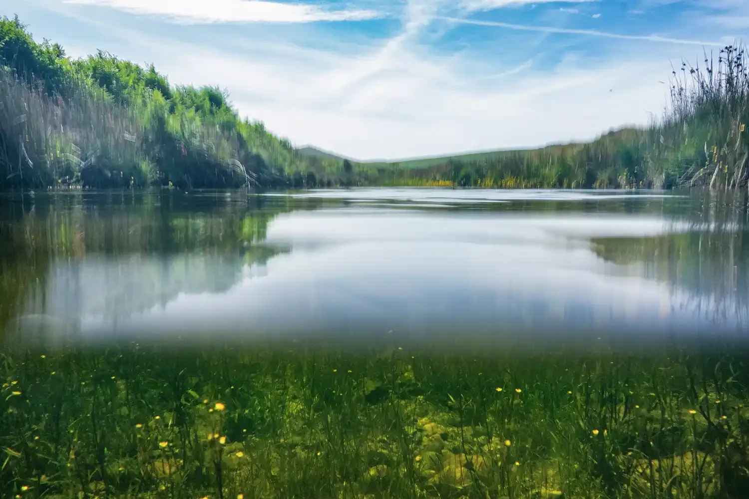 Underwater at The River Taw on Dartmoor
