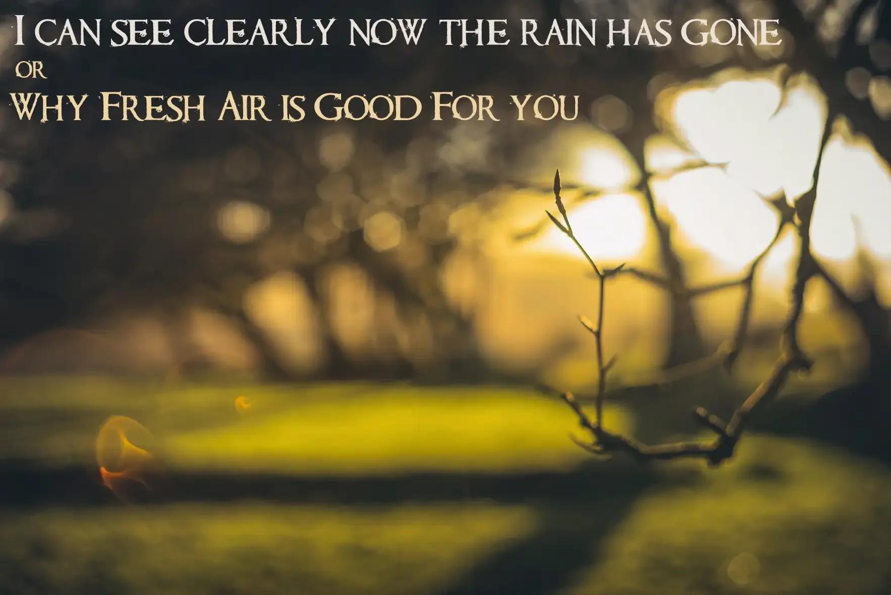 I can see clearly now the rain has gone - or, why fresh air is good for you
