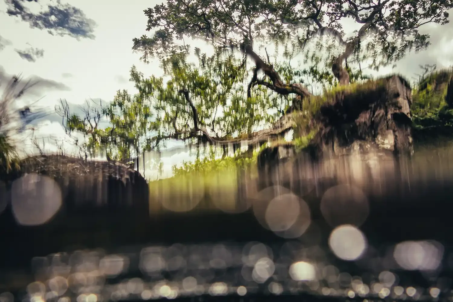 Underwater Landscape on Dartmoor (2).webp