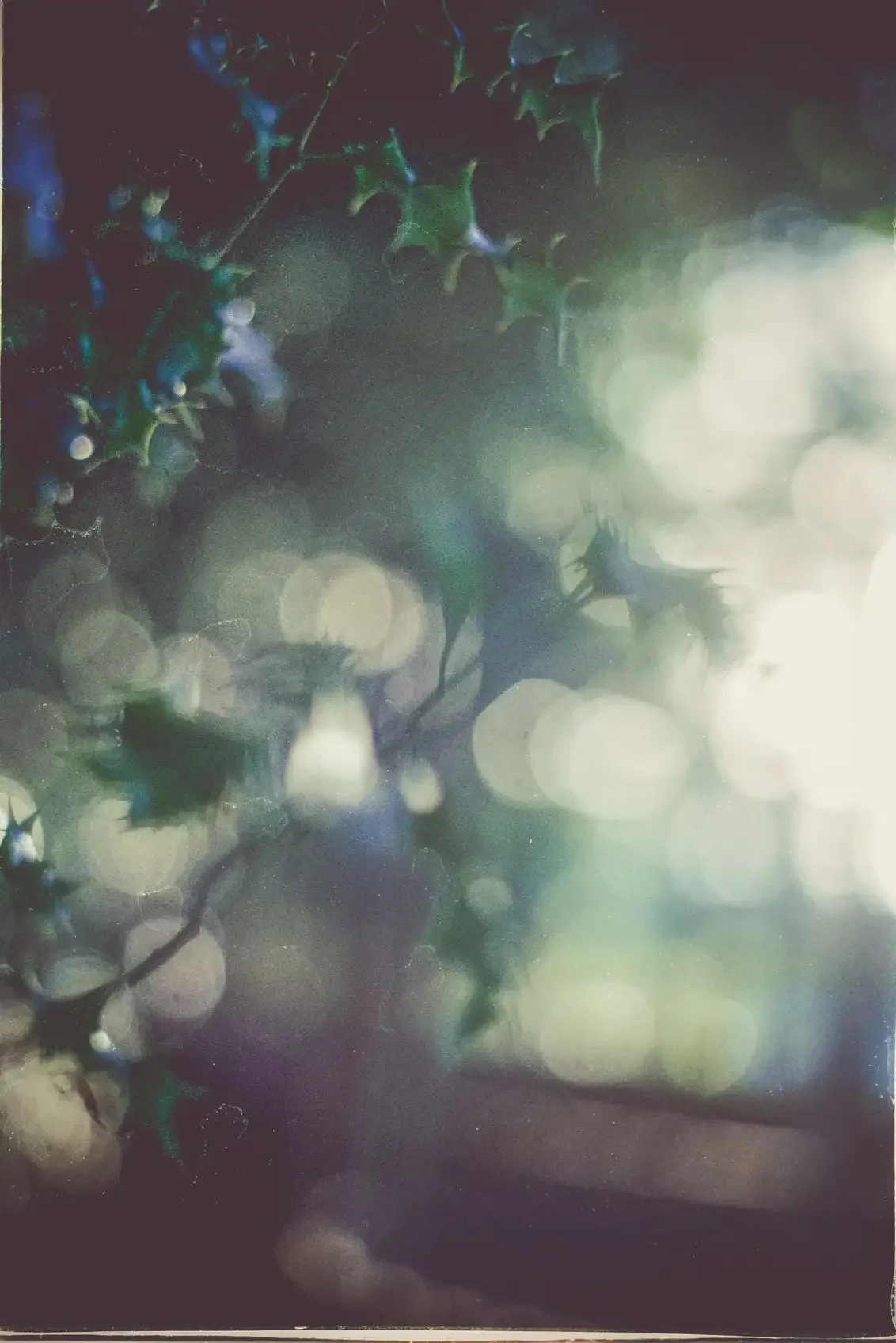 Holly shot on colour film, so much more difficult to shoot with a wide open aperture with film!