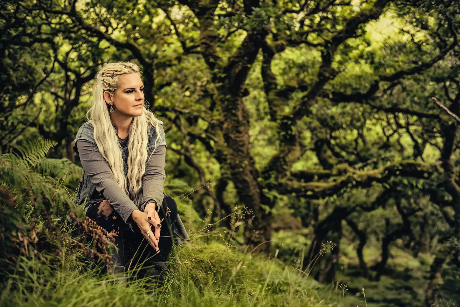 Above the Ancient Forest