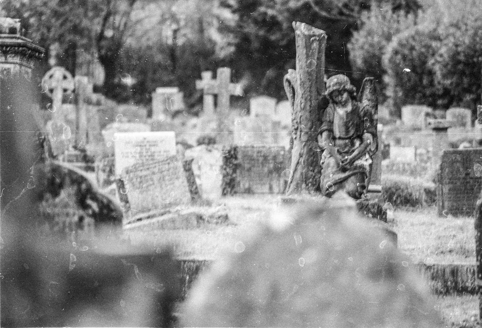 Black and White Film image of the graveyard of Holy Trinity Church in Buckfastleigh, Devon