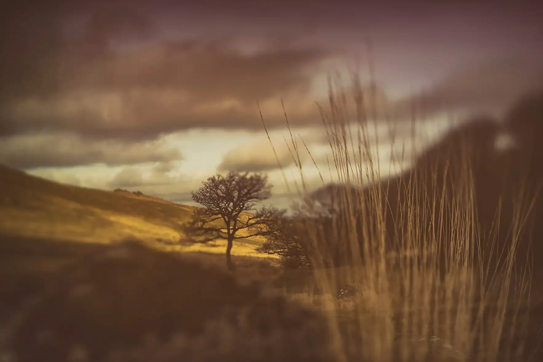 Free lensing on Dartmoor - near Black-a-tor Copse
