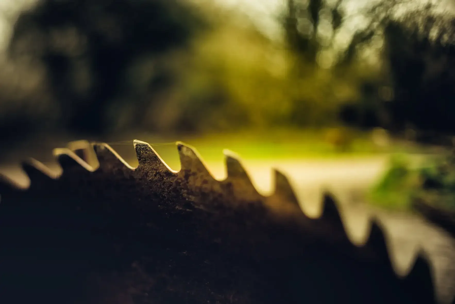 Close-up of a metallic saw blade with sharp teeth, with a blurred outdoor background featuring trees and greenery.