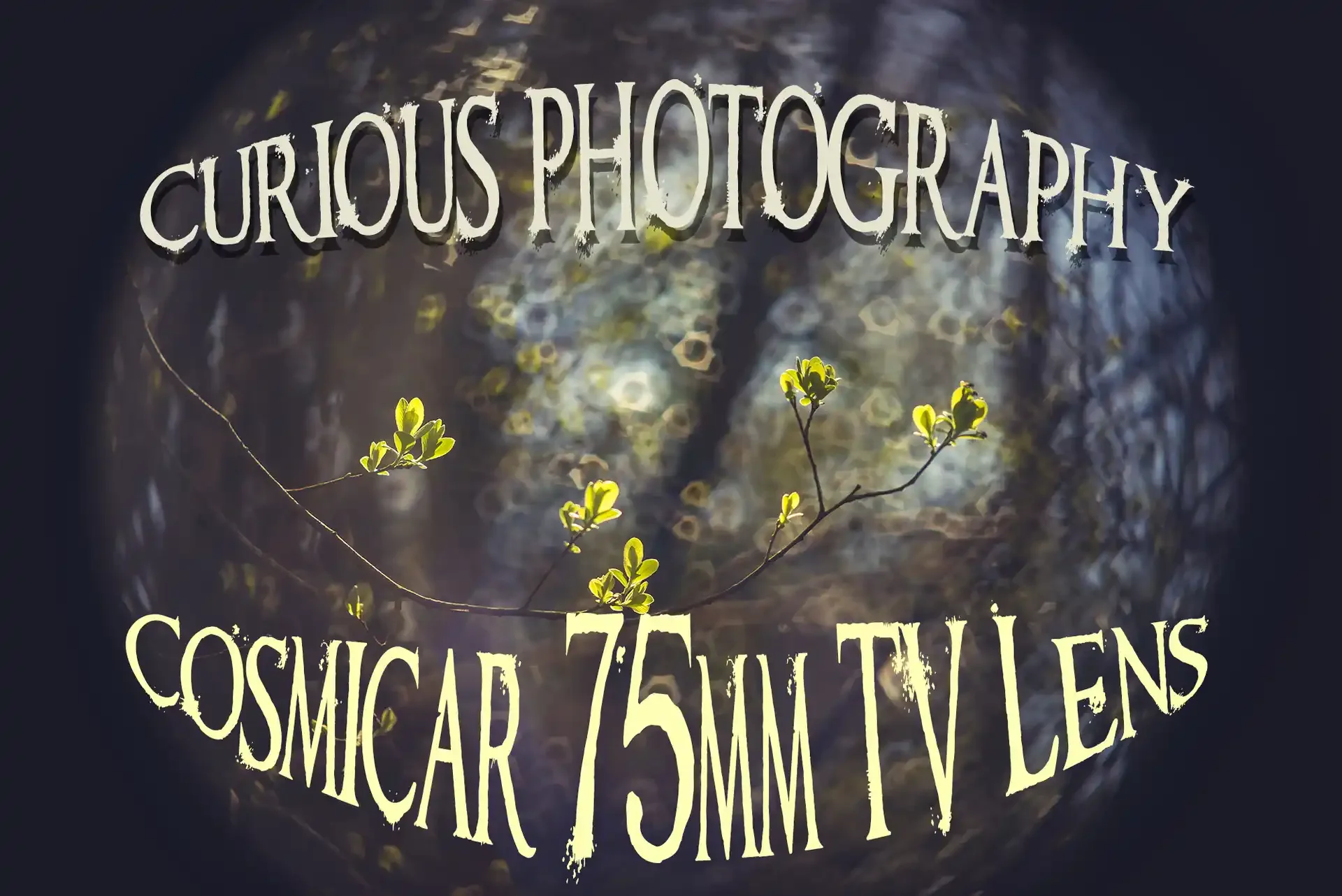 Adapted Cosmicar 75mm C-Mount TV Lens on Sony a7r - Curious Photography