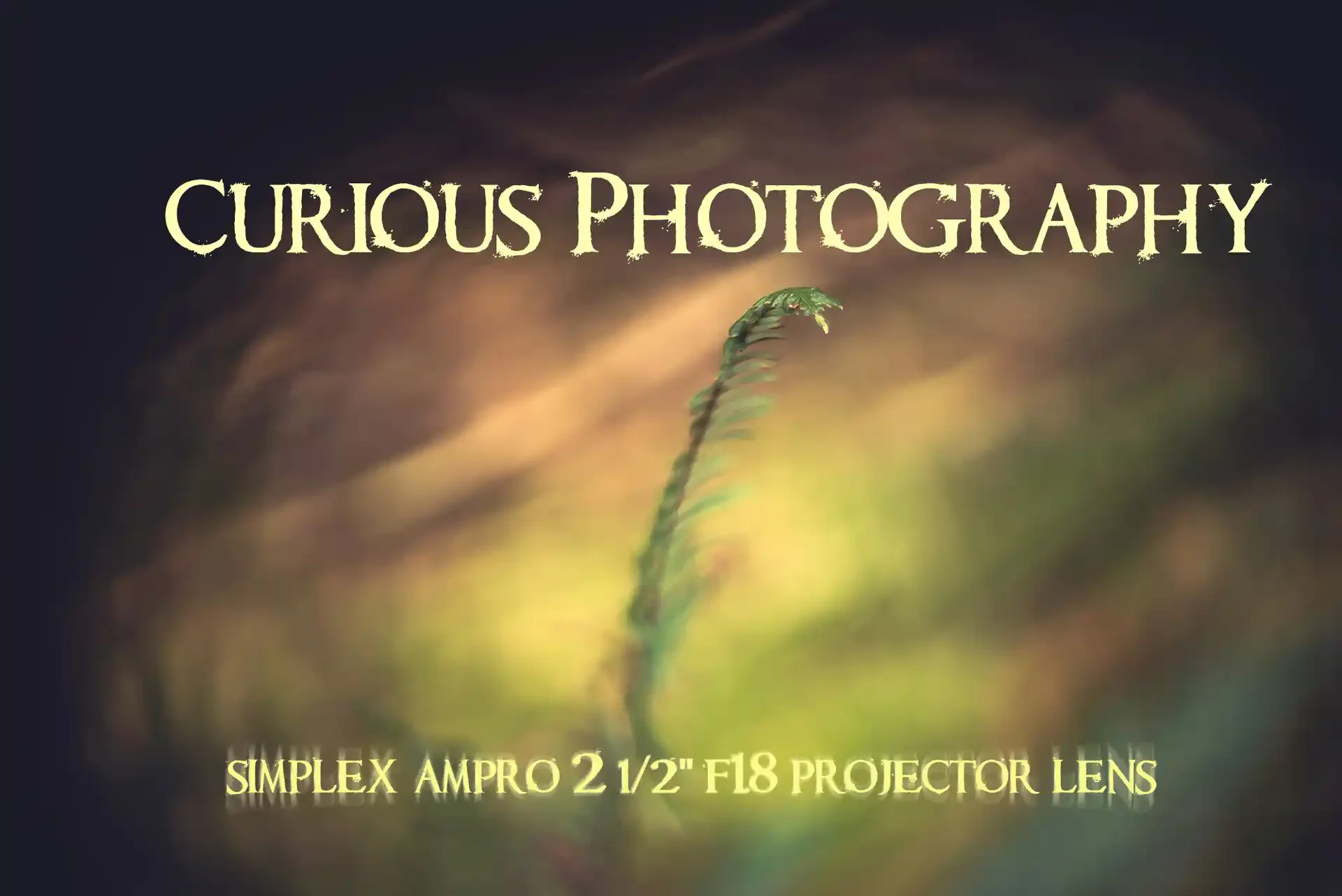 Adapted Simplex Ampro Ltd 2 1/2 inch f1.8 Projection lens on Sony a7r - Curious Photography