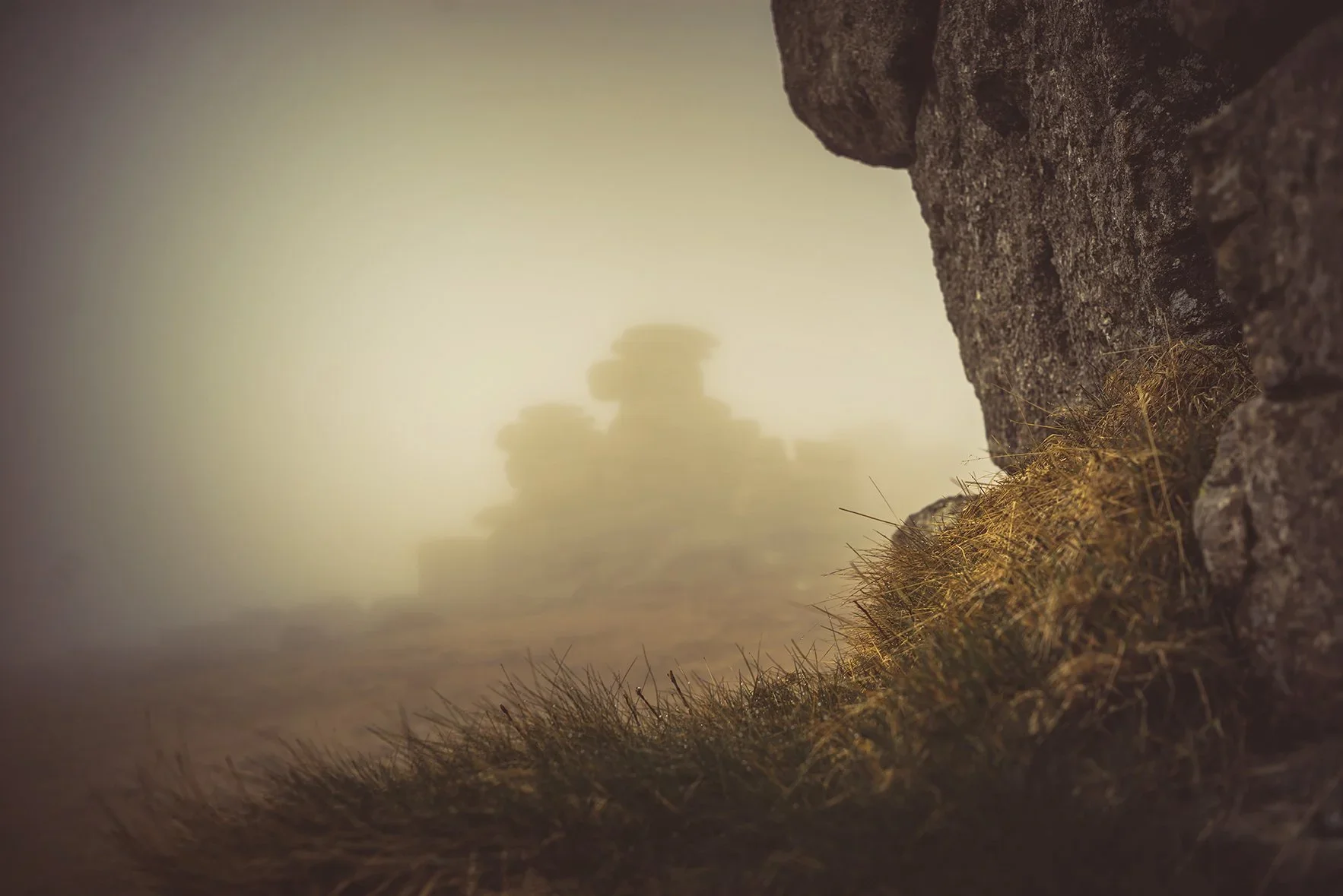 Great Staple Tor in Mist