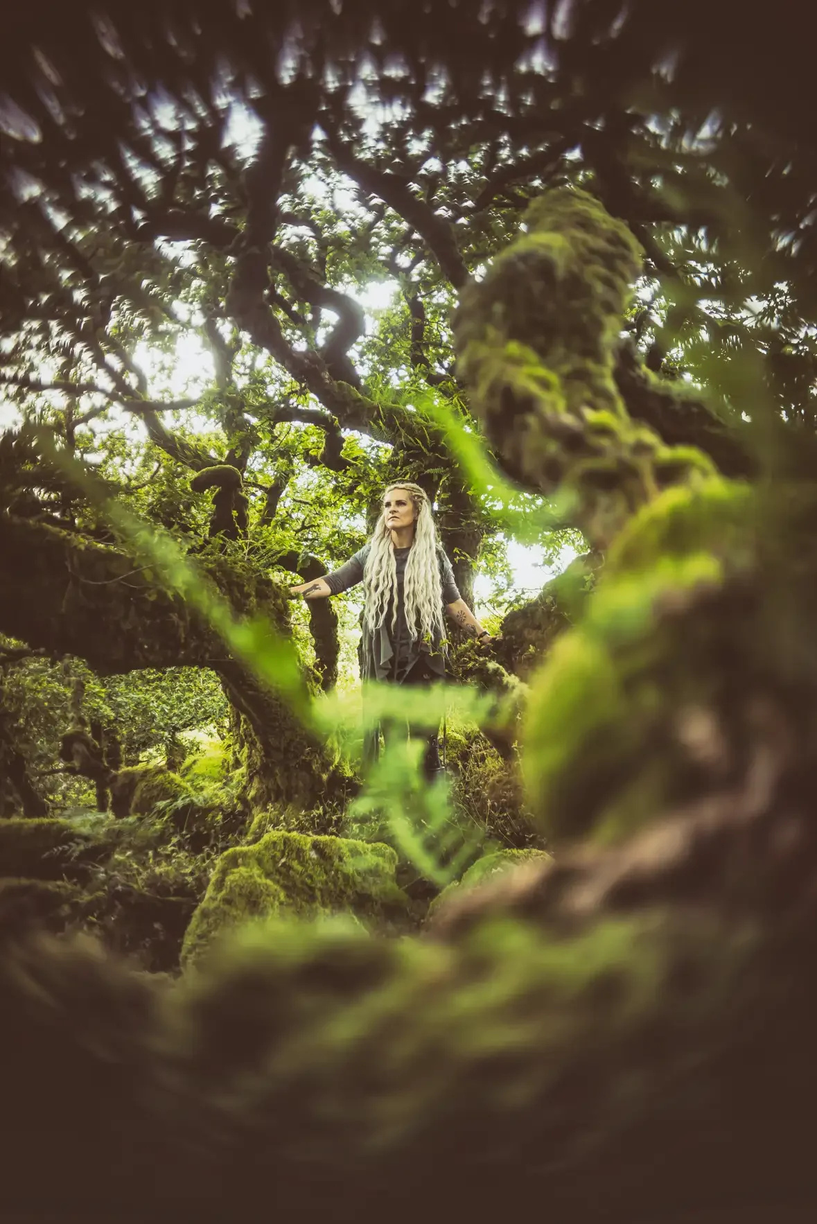 Forest Nymph - Dartmoor