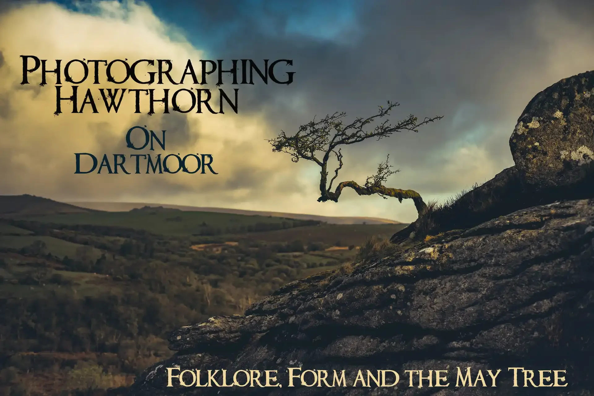 Photographing Hawthorn on Dartmoor: Folklore, Form and the May Tree