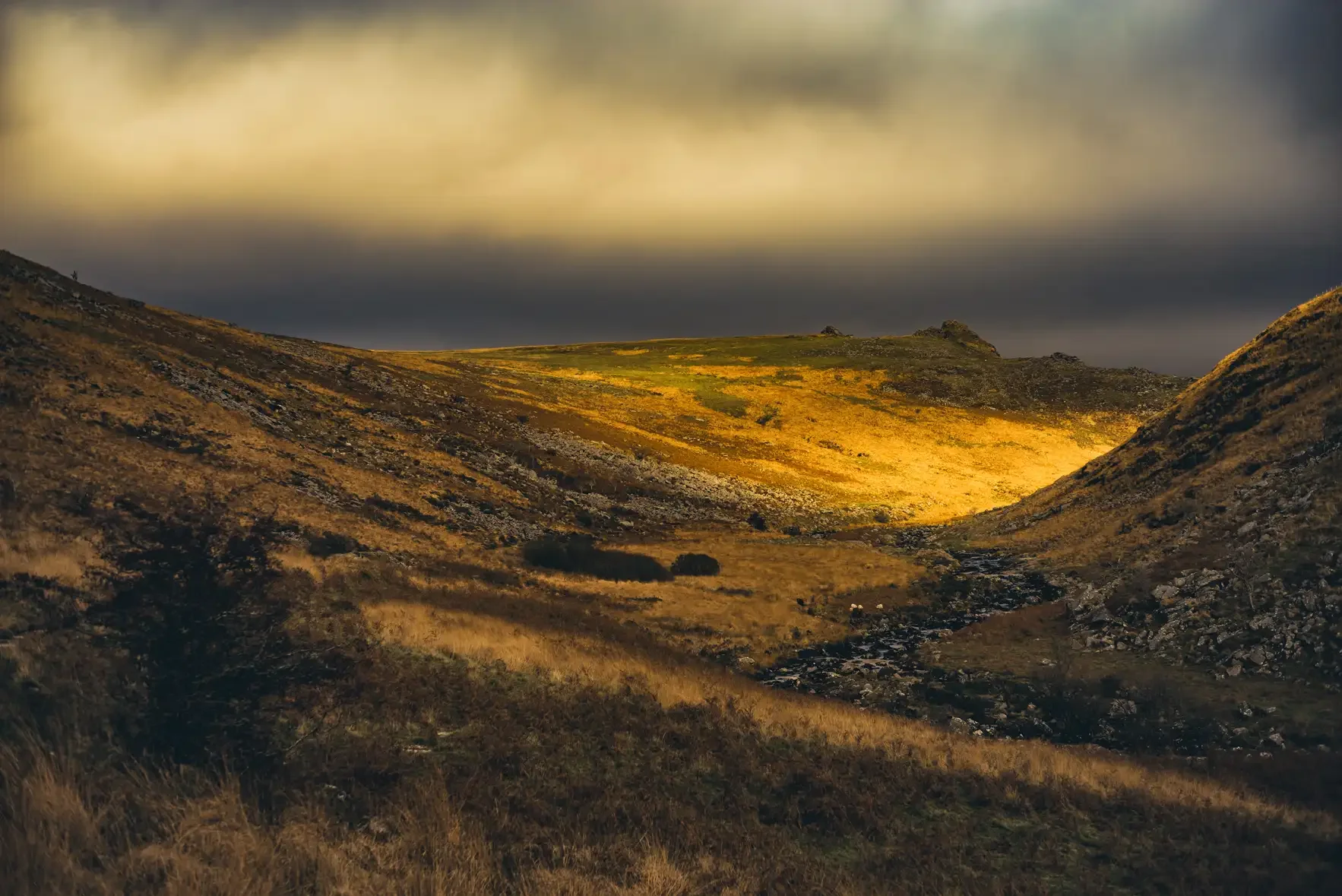 Tavy Cleave as the Sun Breaks Through