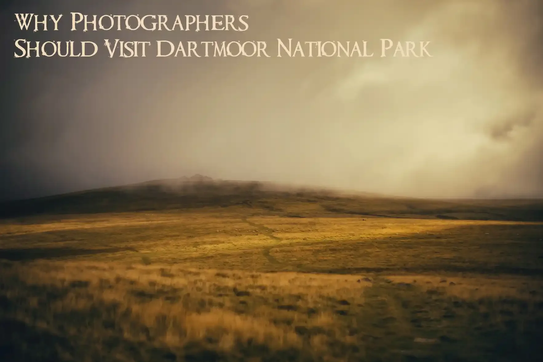 Why Photographers Should Visit Dartmoor National Park