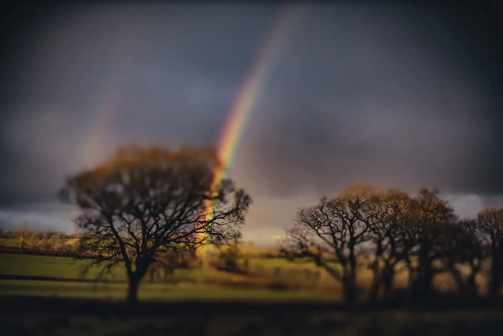 A rainbow over a landscape with leafless trees in the foreground and dark clouds in the sky.
