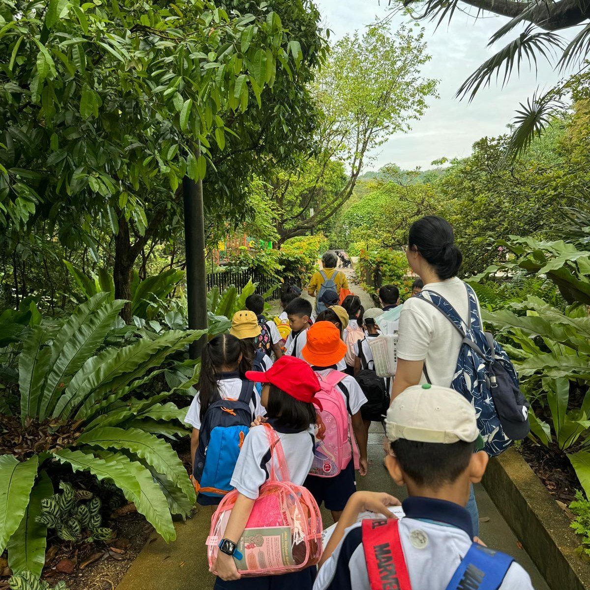 Hello, Teachers! Have you heard of the Pitter Potter Patter program? 🌱

Embark on a nature exploration journey with us at the Pitter Patter Potter Garden, a &quot;Classroom in a Garden&quot; specially designed to complement schools&rsquo; curricula,