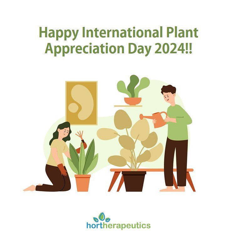 At Hortherapeutics, plants play a central role in our therapeutic horticulture services, as we recognise the myriad of benefits plants and nature can help in the healing process of our clients, enhancing our daily physical and mental wellbeing. Above