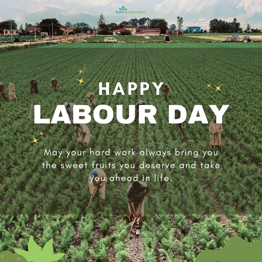 Today, we honor and celebrate the invaluable contributions, sacrifices, and tireless efforts of our dedicated social workers and healthcare professionals. Hortherapeutics extends warm wishes for a happy #LaborDay to all the unsung heroes who diligent