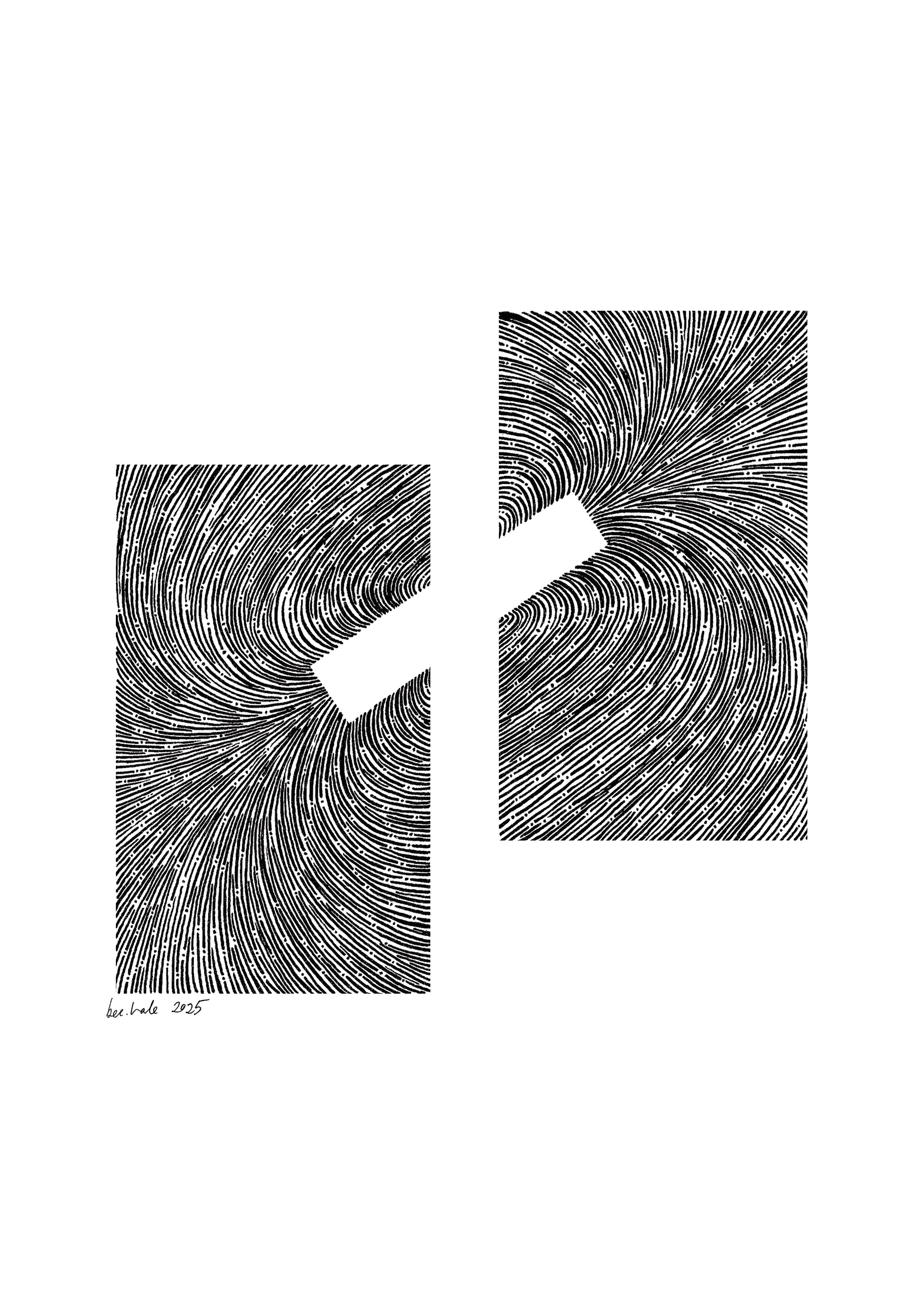 magnetise | 2025