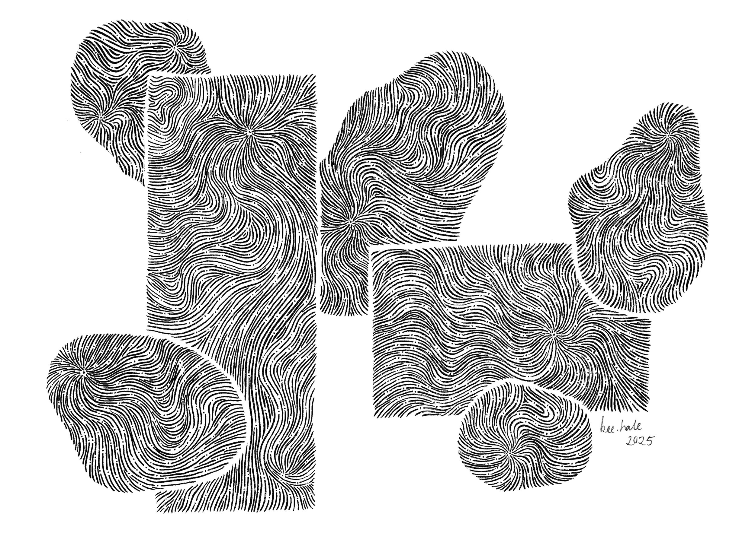 strong breeze | 2025