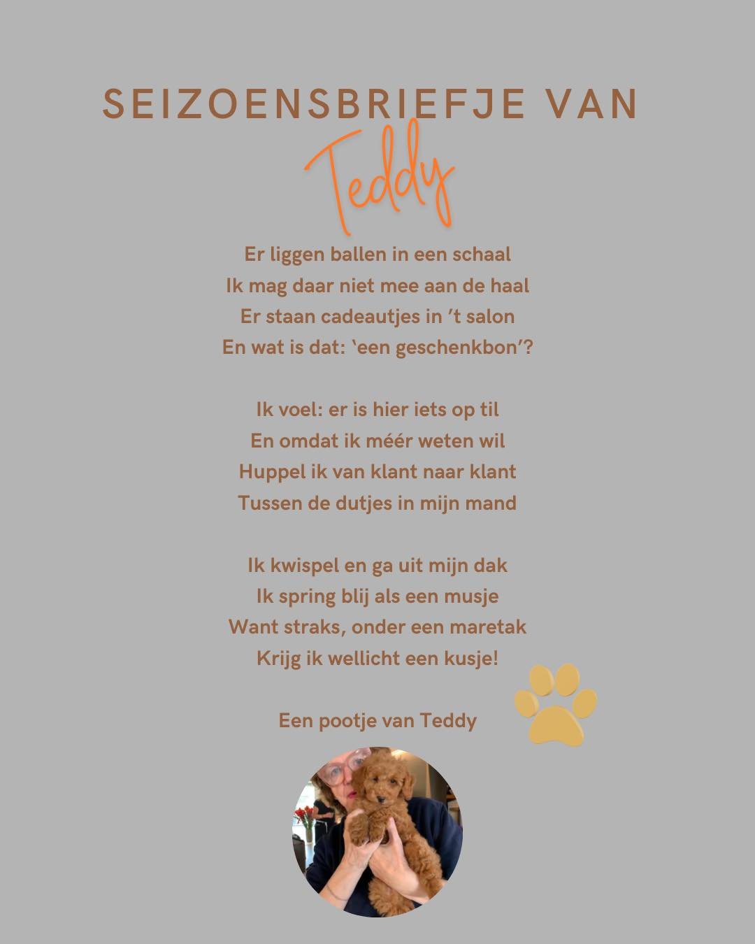 puppy-hondje &mdash; lief en warm 🐶💛:
 &bull; &ldquo;Zo klein, en toch al mijn hart.&rdquo;
 &bull; &ldquo;Een puppy is een beetje geluk op vier pootjes.&rdquo;
 &bull; &ldquo;Kleine pootjes, grootse liefde.&rdquo;
 
 &bull; &ldquo;Soms past het gr