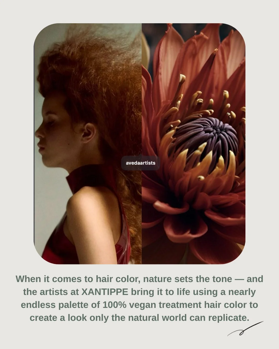 #AvedaColorCares #AvedaPartner #AvedaSalons#balayagebrugge #zonderafspraak #coloristbrugge #xantippecolor #kapsalonbrugge #avedacolorist #aveda #openopzondagvoormiddag #avedastylist #avedaproducts❤️ #colorful #veganproducts🌱 #xantippebelgium #avedal